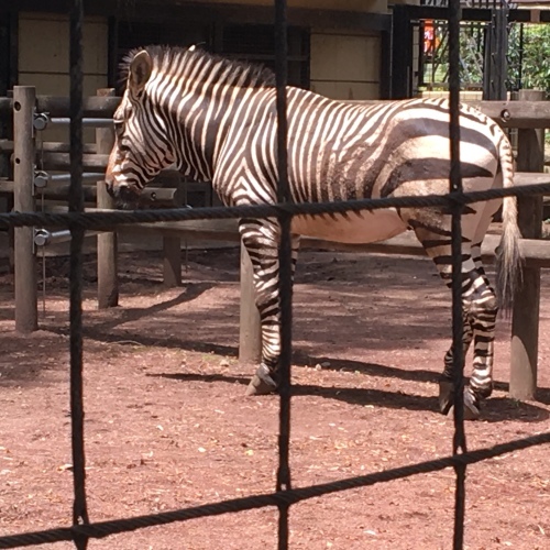 a0094797_14020630.jpeg