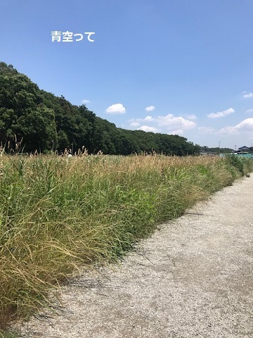 晴れた日はお散歩が楽しみ♪_f0242002_17263062.jpg