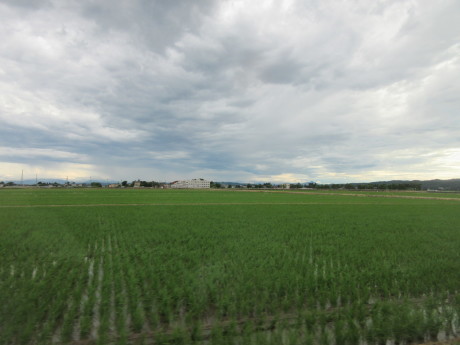 a0203003_21001497.jpg