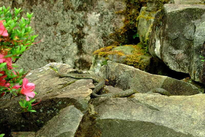 f0201711_10115009.jpg