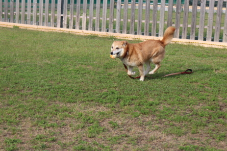 こんな日は室内ランで涼しく過ごしましょう～♪_f0170713_06412927.jpg