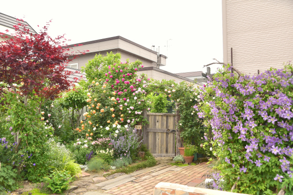 d0380314_12365645.jpg