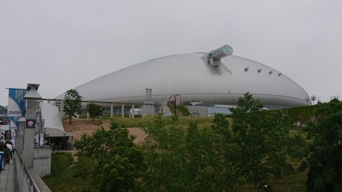 【ジャイアンツ戦交流戦】チー様お願い【6月15日31戦目】巻き返し及ばす_e0126914_23273653.jpg