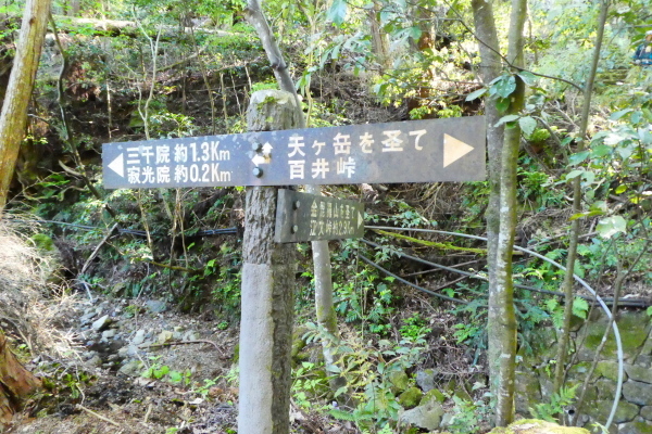 d0170615_22352081.jpg