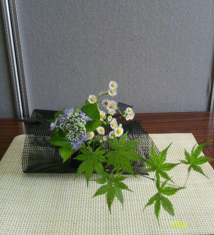6月雑草いけばな1 : 気まぐれ雑草日記