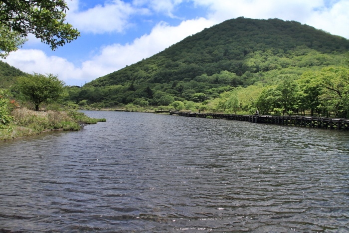 赤城山　レンゲツツジ_d0026817_19333590.jpg