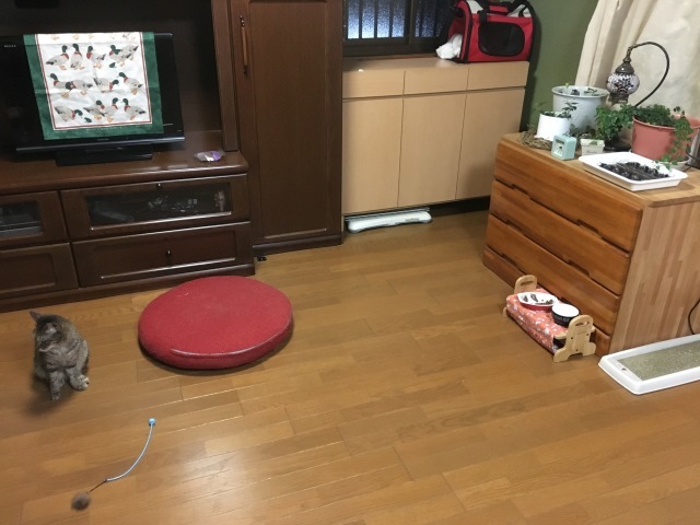 d0357917_20434051.jpeg