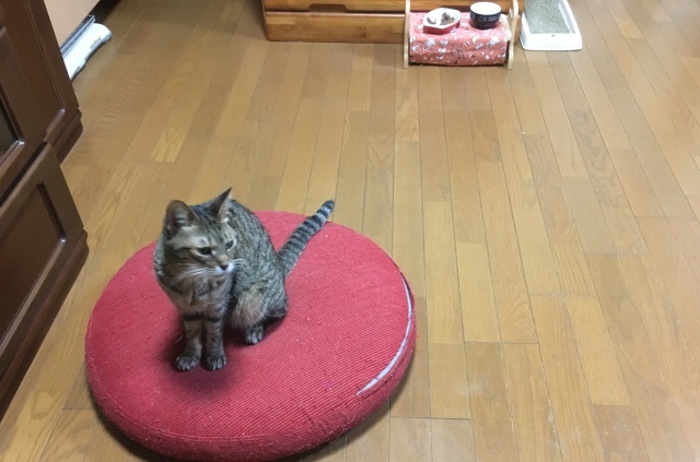 d0357917_20441398.jpeg