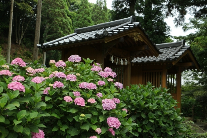 b0258821_21150328.jpg