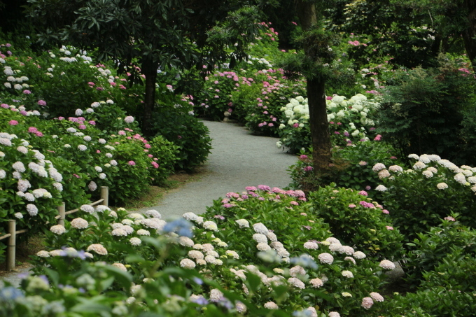 b0258821_21273180.jpg