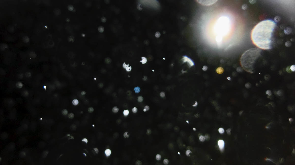 c0331825_04300449.jpg