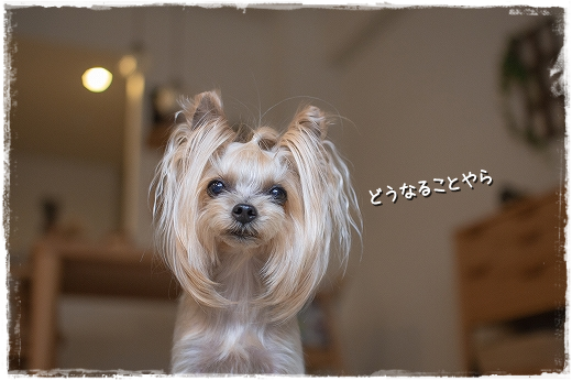 d0179828_00025893.png