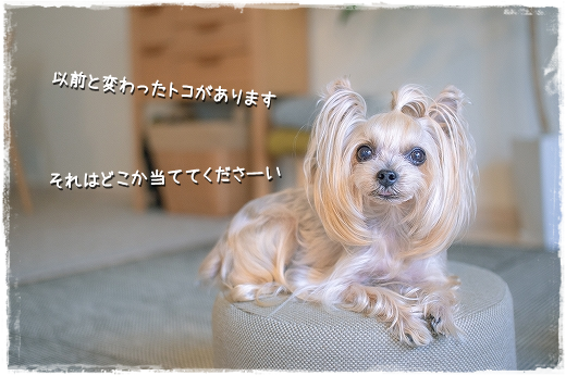 d0179828_13563986.png