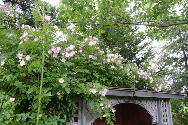 c0107129_03304762.jpg