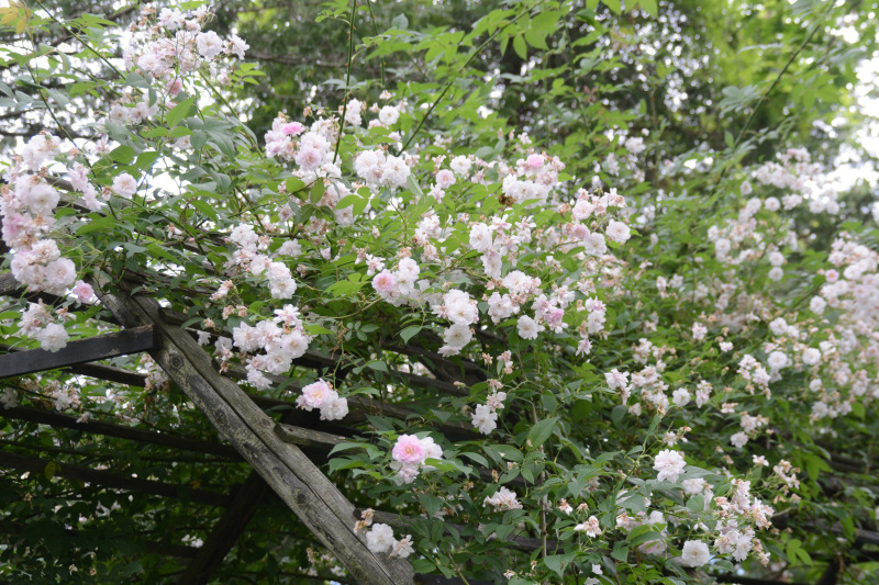 c0107129_03320614.jpg