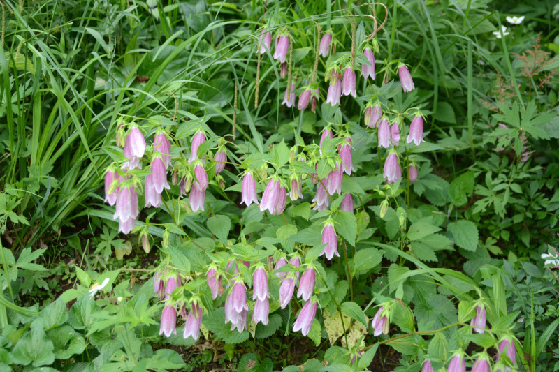 c0107129_03365828.jpg