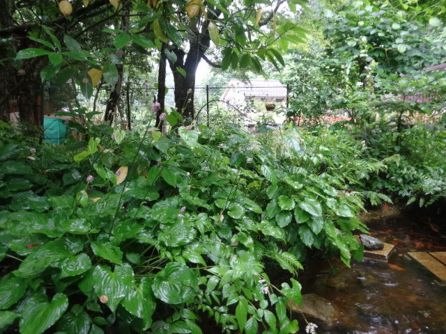 f0177529_21091734.jpg