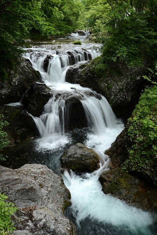 c0286530_21001798.jpg