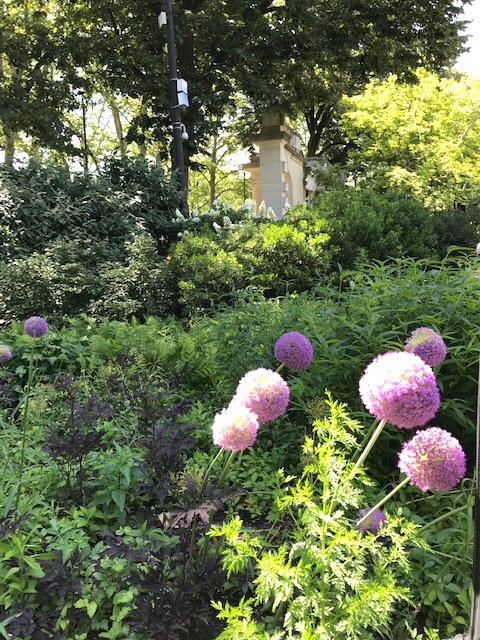 小トラの健康診断+ロダン美術館お散歩_d0269832_19064294.jpeg