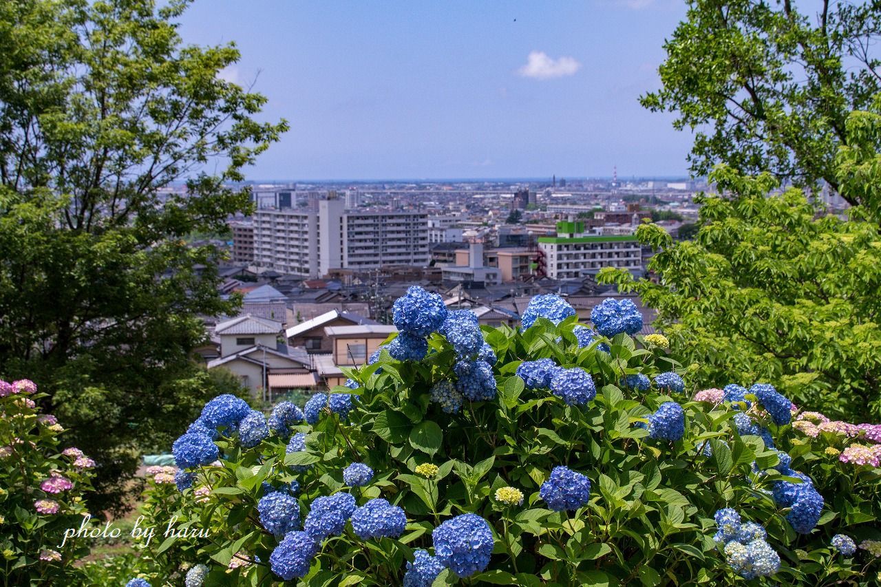 f0297537_10242539.jpg