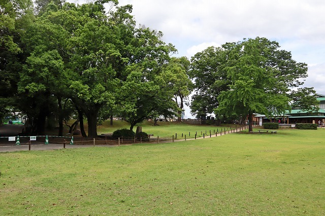a0242438_14134118.jpg