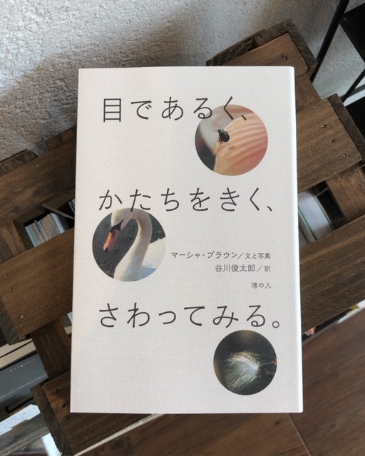 2019年5月「青と夜ノ空セレクト便」で送った本の紹介2_c0328441_15224587.jpg