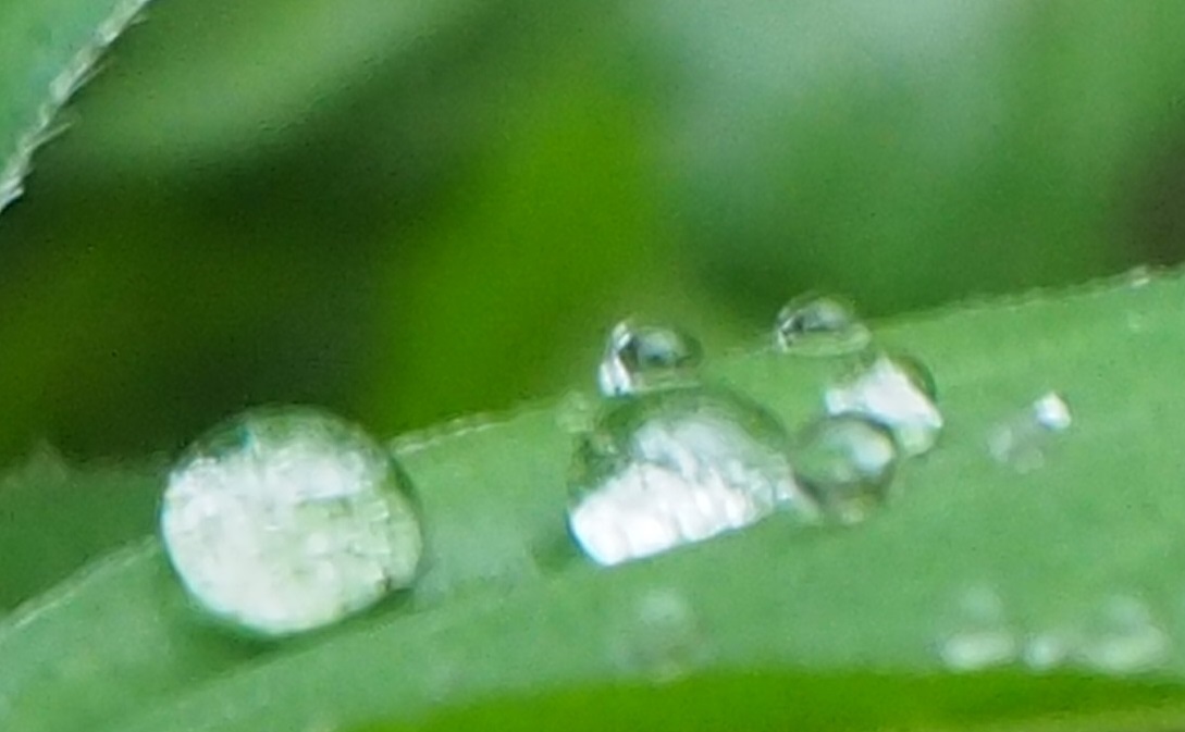 e0379641_18251524.jpg