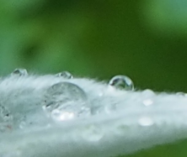e0379641_18251995.jpg