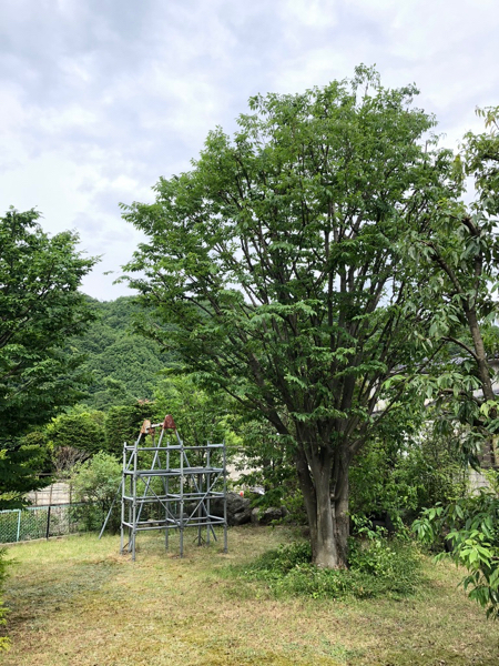 一つの命_c0112447_18594194.jpg