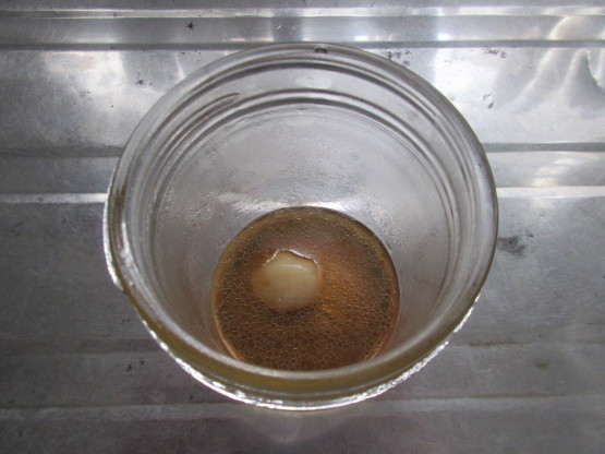 e0038047_20311434.jpg