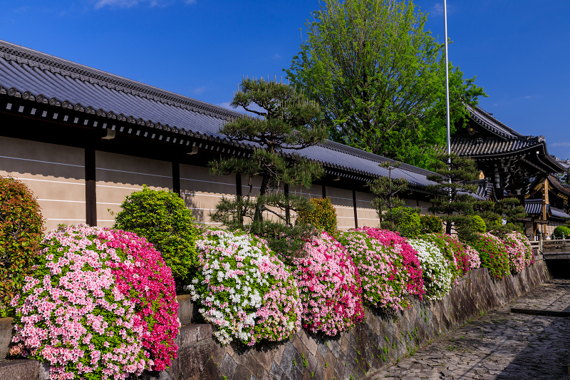 色とりどりの空堀（興正寺～本願寺）_f0155048_22483215.jpg