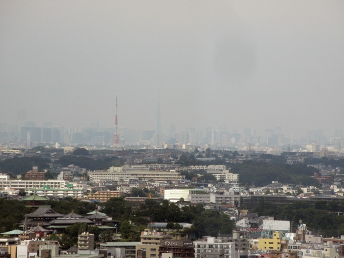 b0009849_8112971.jpg