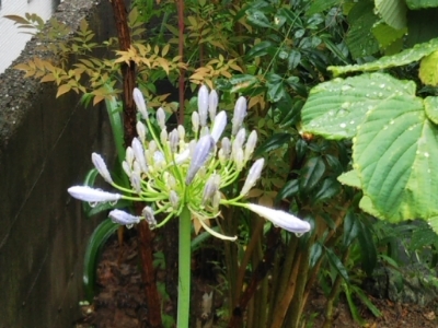 c0330749_07333577.jpg