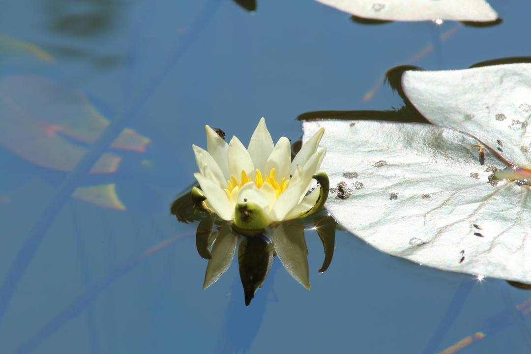 e0403850_11510872.jpg