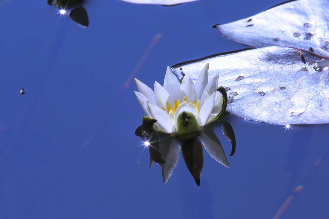 e0403850_11520907.jpg