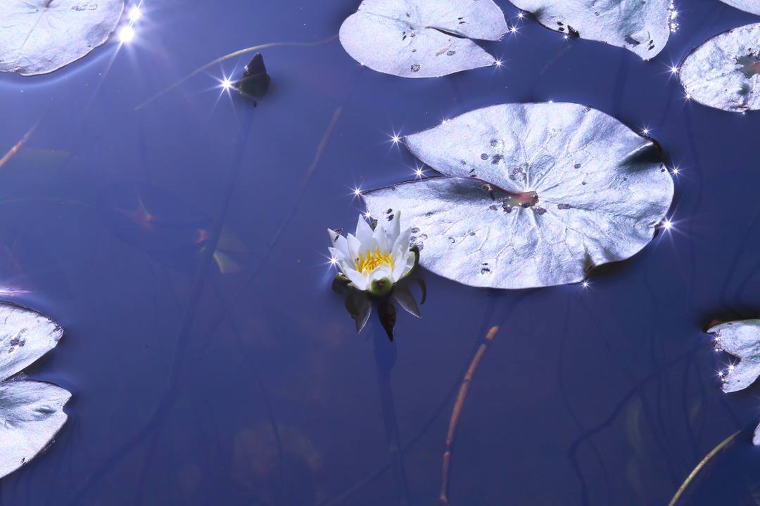 e0403850_11524051.jpg