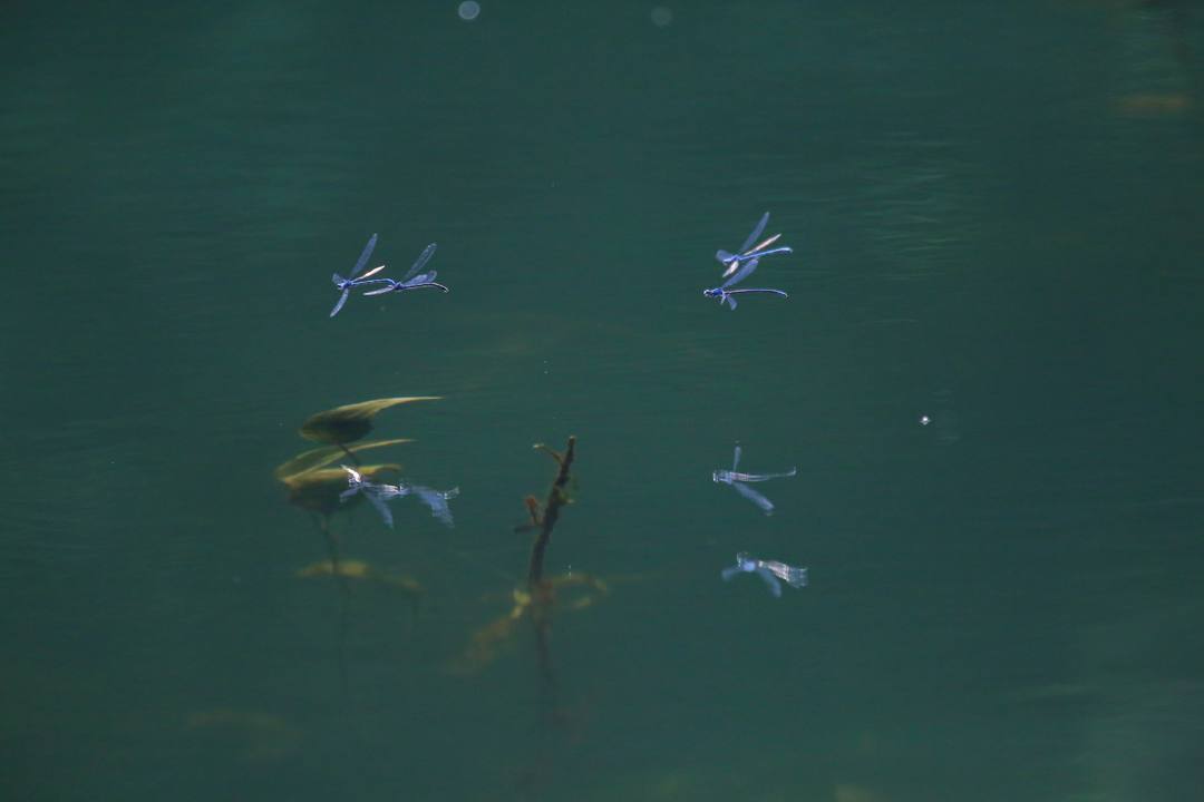 e0403850_12374969.jpg