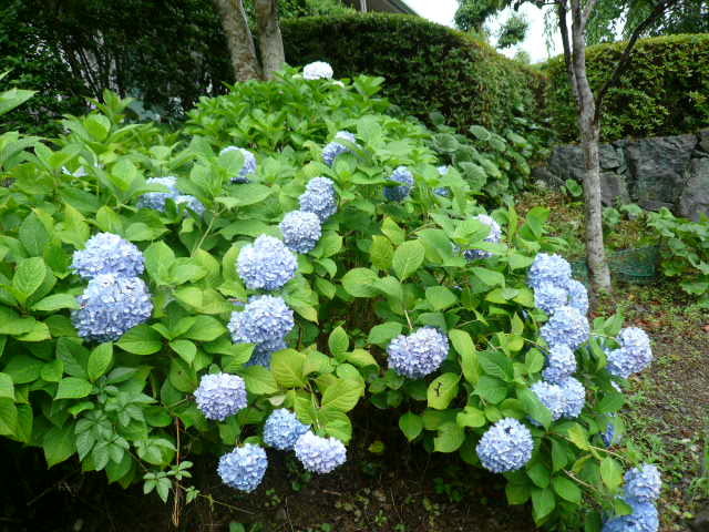 c0043055_15225598.jpg