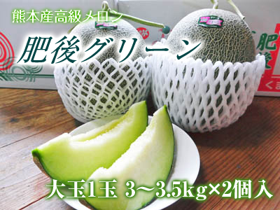 熊本産高級マスクメロン『肥後グリーン』 お待たせしました!7月2日より再出荷開始!大玉サイズも数量限定販売中!_a0254656_16214835.png
