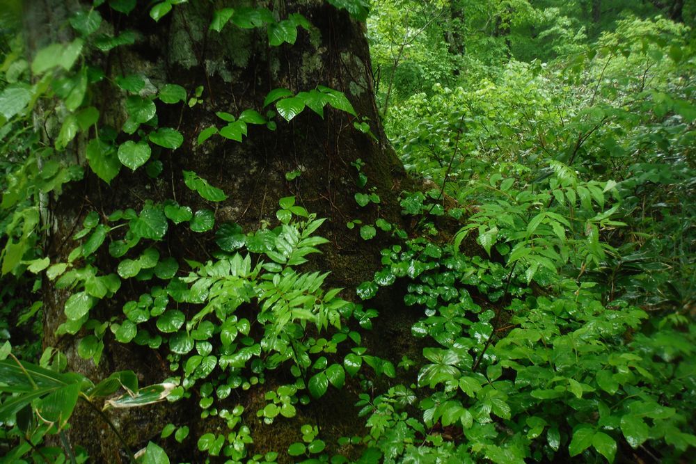 c0294658_22080281.jpg