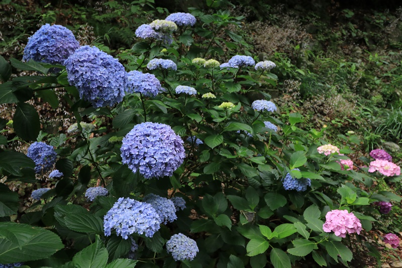 a0167759_12227.jpg
