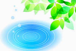 c0119160_16405481.png