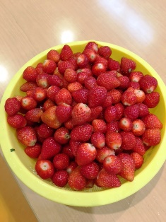f0152061_1618810.jpg