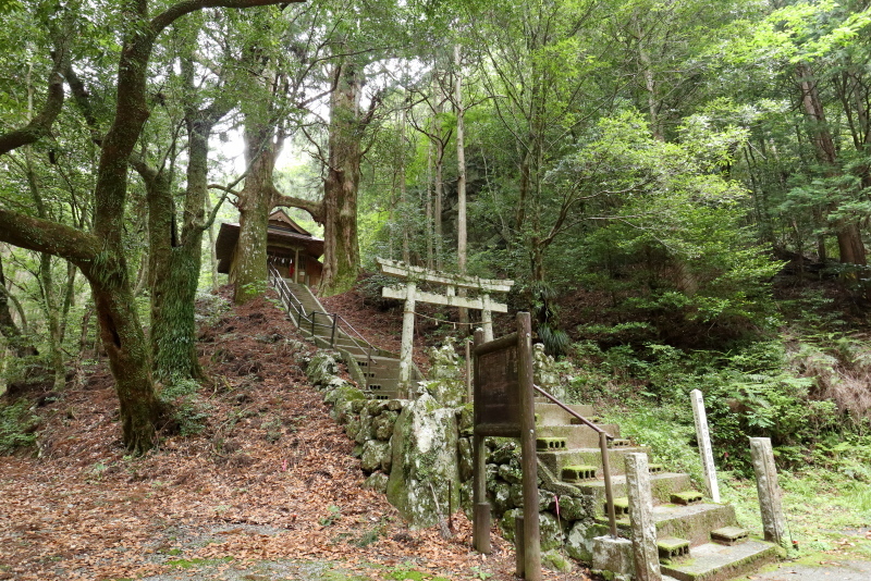 グロムで、桑の川の「鳥居杉」へ_a0077663_12350981.jpg