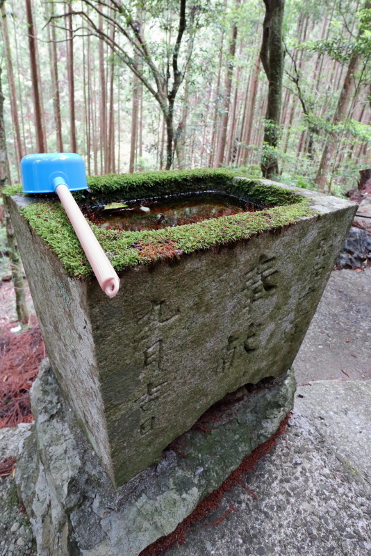 グロムで、桑の川の「鳥居杉」へ_a0077663_13400786.jpg