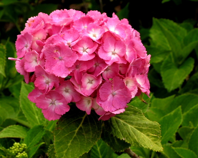 c0305565_10273340.jpg