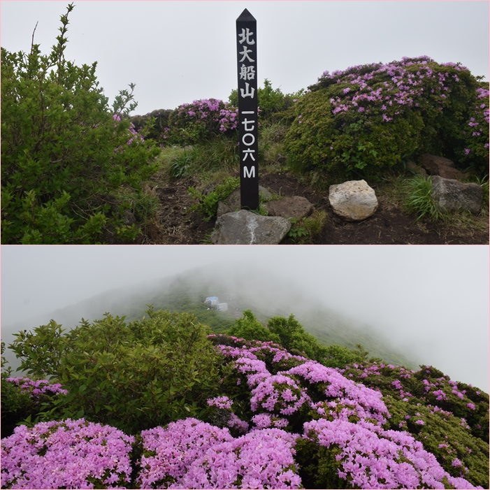 深山霧島の咲く平治岳、北大船山。_f0016066_475874.jpg