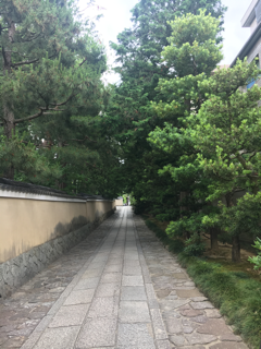 建仁寺で甘茶の花を愛でる_f0363168_07111573.png