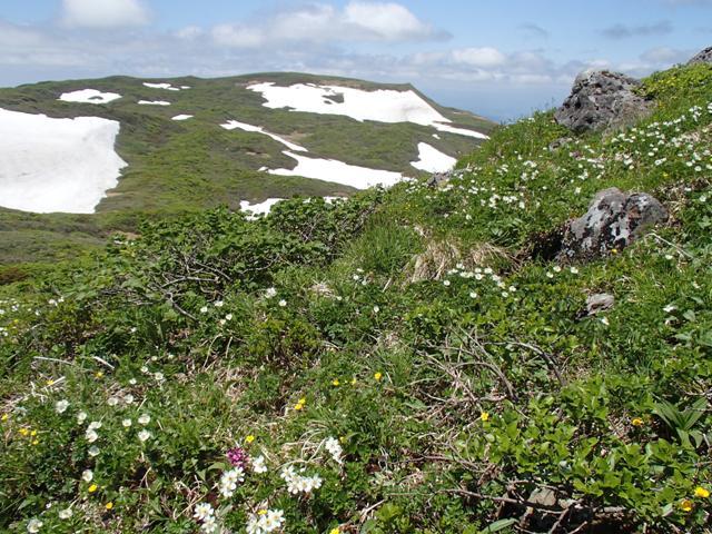a0344771_09190134.jpg