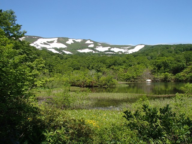 a0344771_09203411.jpg